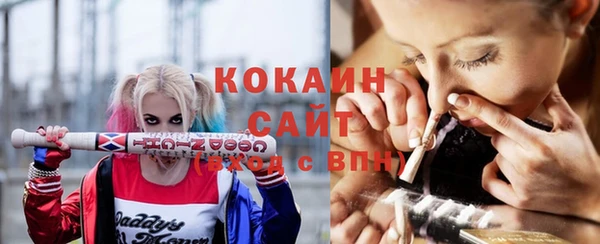 мдпв Белокуриха