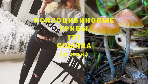 наркотики Беломорск